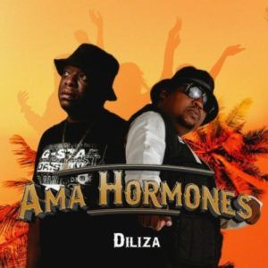 Diliza - Ama Hormones (Feat. Professor)