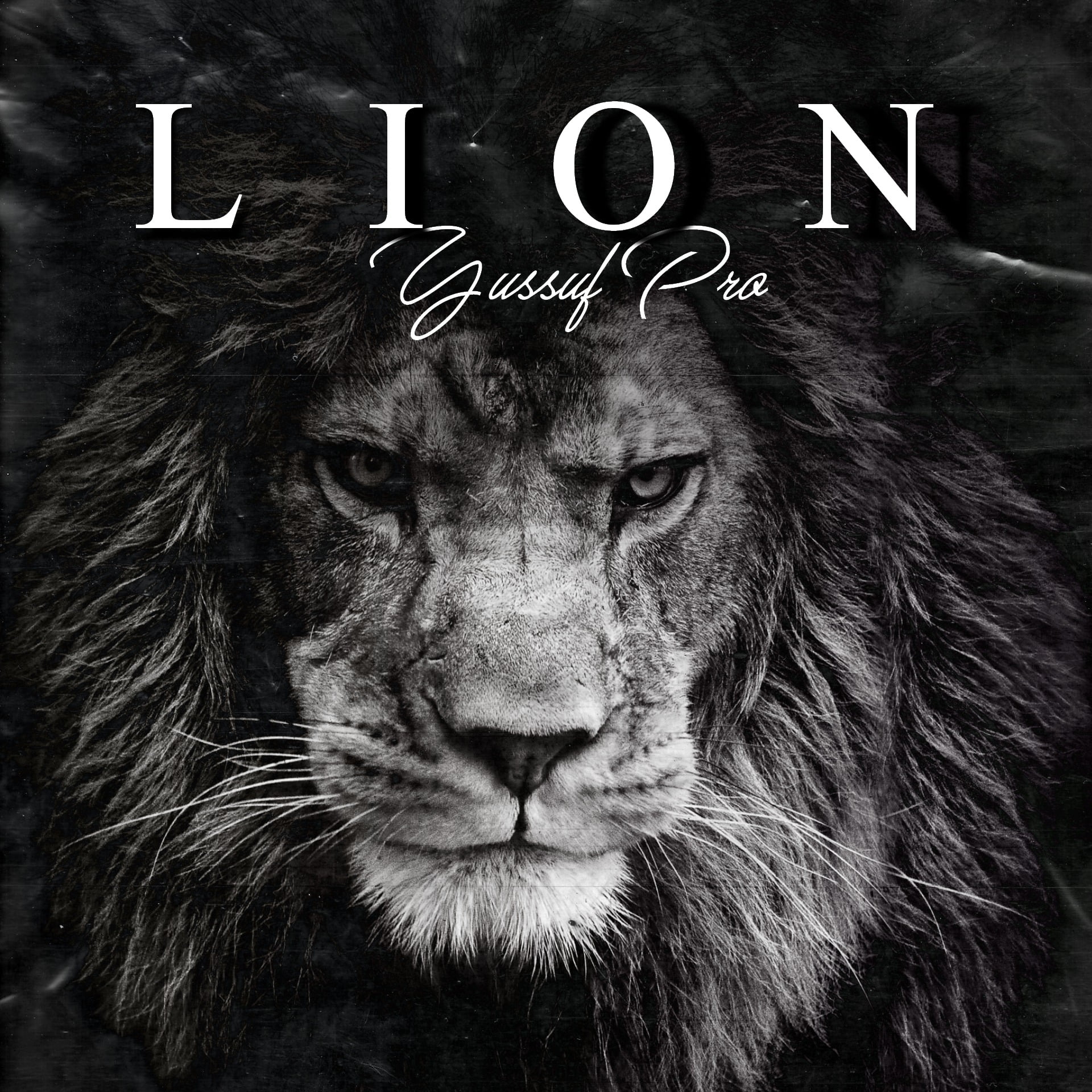 Yussuf Pro - Lion (EP)