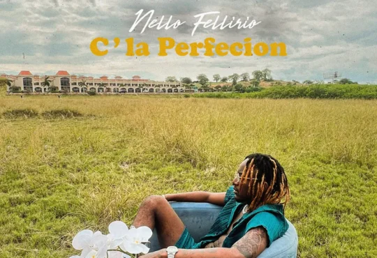 Nello Fellirio - C´La Perfecion (Afro Beat)