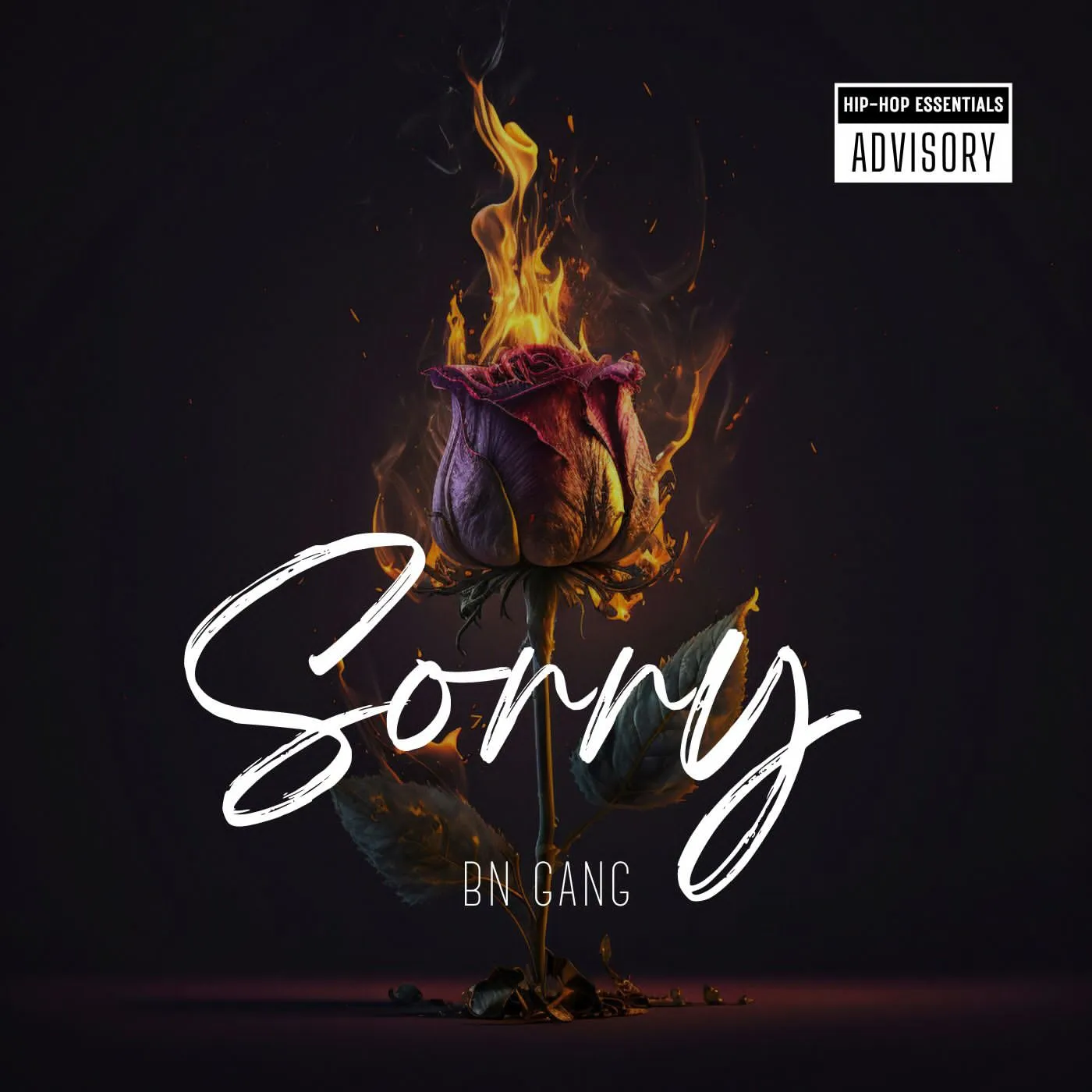 BN Gang - Sorry